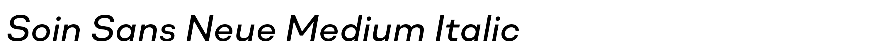 Soin Sans Neue Medium Italic